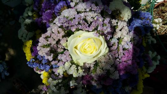 花, 颜色, 白色, 紫罗兰色, 黄色, 花, 花束花
