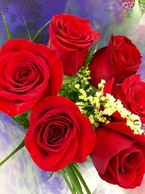 玫瑰, 红色的花朵, 花束