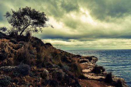 塞浦路斯, kapparis, 悬崖, 科夫, 沿海的路径, 海, 蓝色