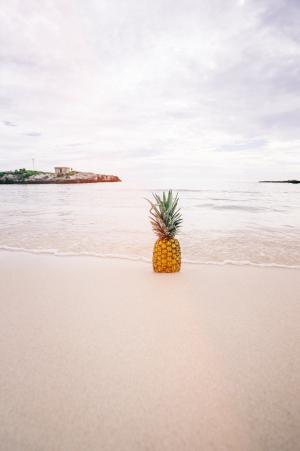 菠萝, 附近的, 海边, 海洋, 海, 果, 滑行