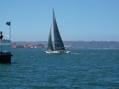 帆船, 加利福尼亚州, 水, 航海的船只, 海, 帆船, 体育