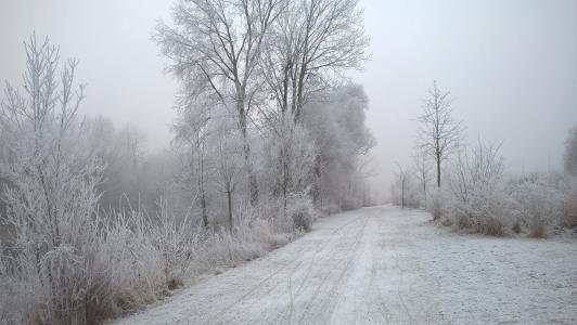 冬天, 景观, 冰, 白雪皑皑, eiskristalle, 弗罗斯特, 寒冷