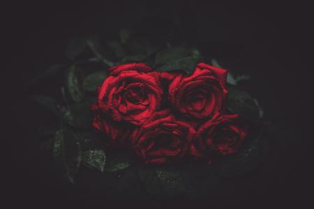 玫瑰, 花, 晚上, 浪漫, 花束, 花, 红色