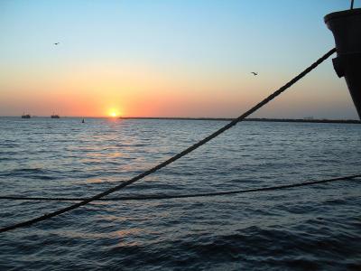 日落, 沃尔维斯湾湾, 湾, 海, 海洋, 水, 太阳