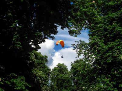 滑翔伞, 滑翔伞, 浮法, 滑翔, 风, 体育, 森林