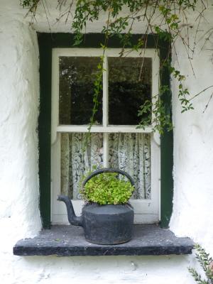 窗口, 爱尔兰语, 爱尔兰, 绿色, 花, 窗台