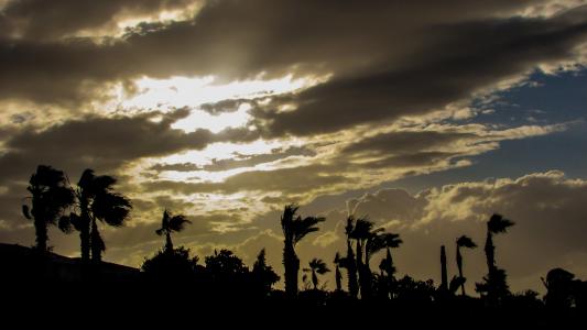 塞浦路斯, kapparis, 下午, 阳光, 棕榈树, 天空, 云彩