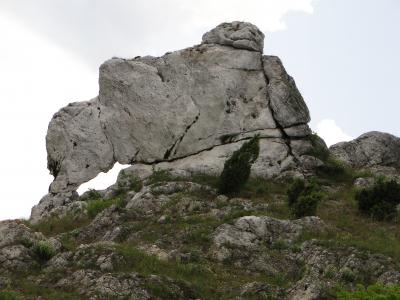 岩石, 奥尔什丁, 自然, 景观, 视图, 岩石, 朱 krakowsko