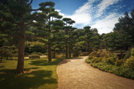 背景, 日本花园, 走了, 树木, 天空, 蓝色, 绿色