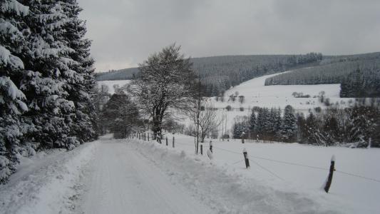 温特贝格, 雪, 景观, 冬天, 德国, 越野滑雪