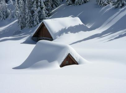 感冒, 雪, 白雪皑皑, 树木, 冬天, 自然, 山