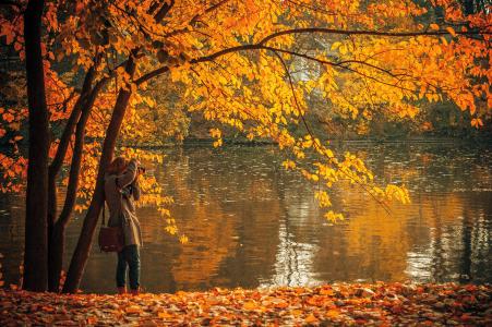 秋天, 棕色, 秋天, 湖, 叶子, 人, 摄影师