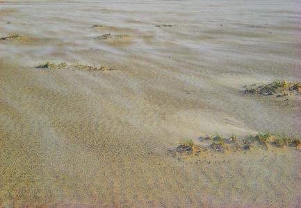 沙子, 风, 海滩, 海岸, 沙丘, 恢复, 波浪线