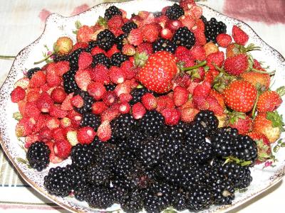 浆果, 花园, 收获, 野草莓, 黑莓
