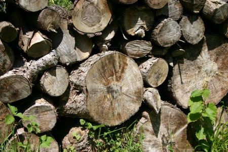 木材, 木柴, holzstapel, 锯掉了, 森林, 贮木场, 桩木