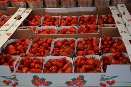 草莓, 托盘, 红色, 水果, 红色水果, 自然, 花园