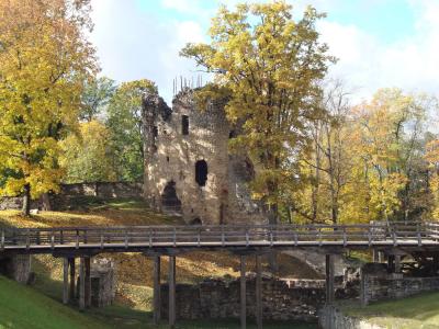 秋天, cesis 城堡, 拉托维亚, 阳光明媚