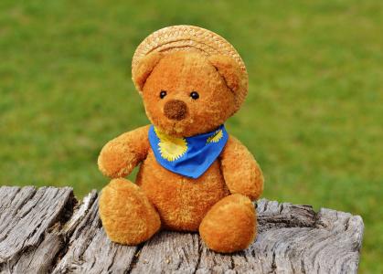 熊, 泰迪, 软玩具, 毛绒玩具, 玩具熊, 棕色的熊, 儿童