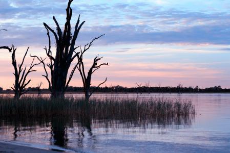 河, 澳大利亚, 风景名胜, 晚上, 水, 放松, 日落