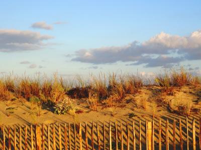 沙丘, 海滩, 沙子, 大西洋海岸, 自然, 沙丘, 日落