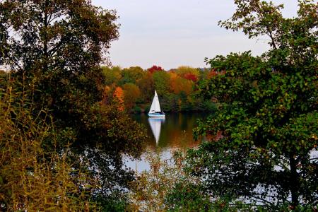 景观, 秋天, 水船, 自然
