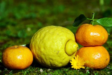 柑橘类水果, 柠檬, 普通话, 健康, 维生素, 自然, 营养