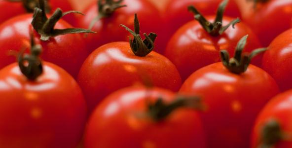 西红柿, 红色, 水果, 番茄, 食品, 新鲜, 健康