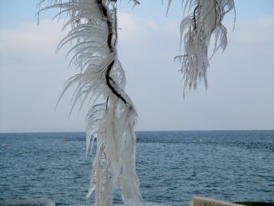 冬天, 冰, 冰柱, 冰的形成, 树木, 审美, 湖