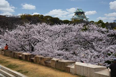 大阪, 大阪城堡, 城堡, 具有里程碑意义, 日语, 关西, 樱花
