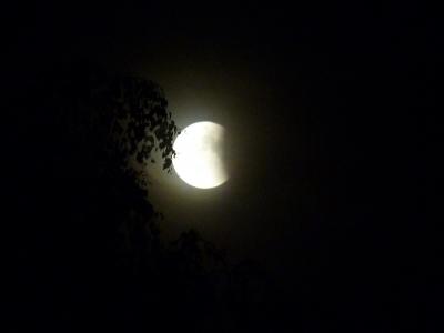 月食, 晚上, 月亮, 天空, 黑色和白色, 晚上张照片