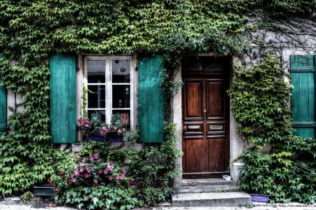 常春藤, 立面, 房子, 比利时, 门, windows, 百叶窗