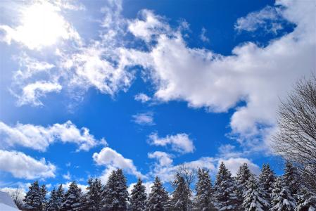 雪, 树木, 松树, 天空, 冬天, 赛季, 自然