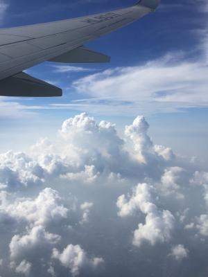 济洲岛, 度假, 景观, 云计算, 飞行, 飞机, 飞机