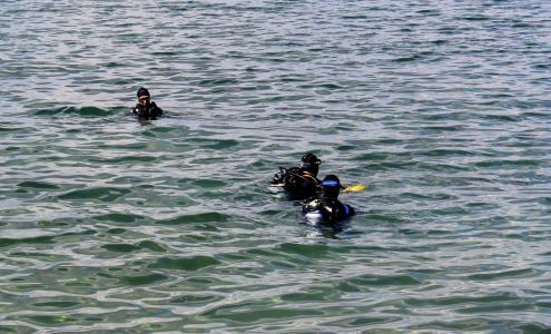 潜水员, 潜水员组, 测试, 下降前, 湖, 康斯坦茨湖, 瑞士