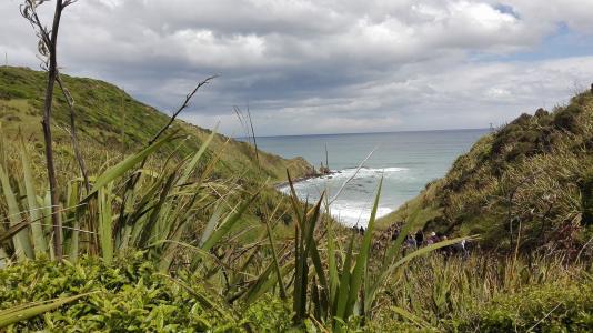 新西兰, 南岛, 自然, 海洋, 景观