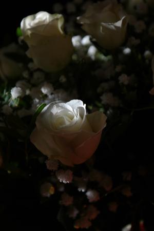玫瑰, 白色, 花, 花, 花束, 束玫瑰花, 白玫瑰