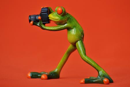摄影师, 青蛙, 有趣, 绿色, 动物, 动物世界, 乐趣
