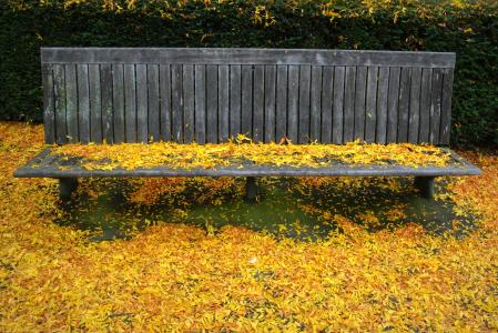 秋天, 赛季, 叶子, 颜色, 自然, 秋天的叶子, 银行