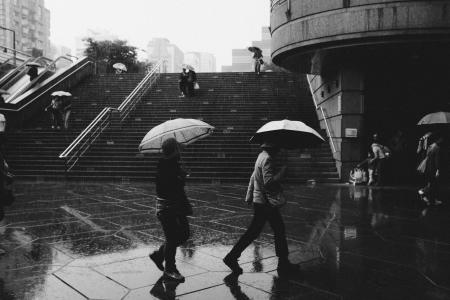 人, 下着雨, 遮阳伞, 湿法, 城市, 城市, 天气