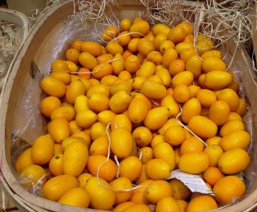 柑橘, 金橘, 水果, 柠檬