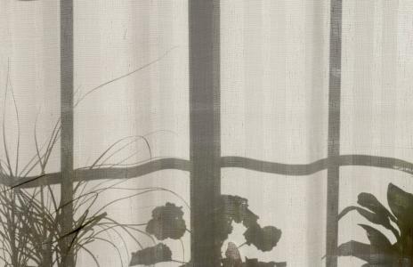 房子, 首页, 植物, 窗帘, 窗口, 阴影, 背景