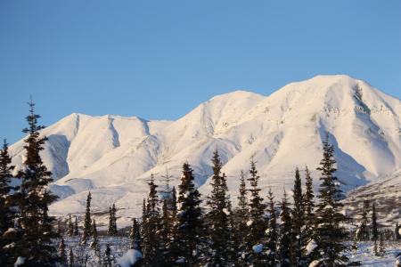 阿拉斯加, 山, 白色, 感冒, 冬天, 雪, 风景名胜