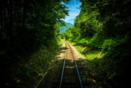 铁路, 跟踪, 绿色, 树木, 植物, 自然, 旅行