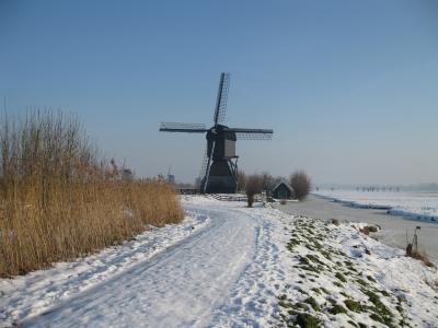 村, 荷兰, 莫利纳, 冬季景观