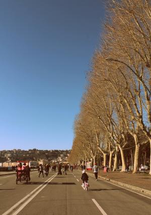 道路, 通过, 那不勒斯, 城市, 海, 滨水区, 树木