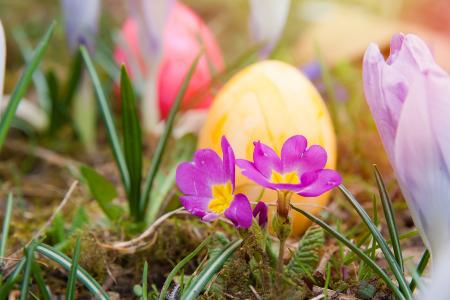 复活节, 复活节彩蛋, 春天, 多彩, 鸡蛋, 颜色, 花