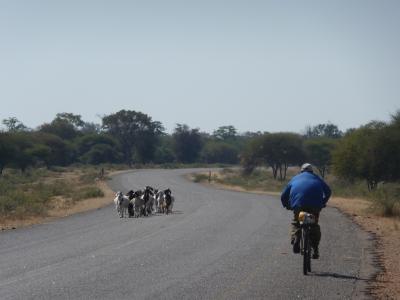 孤独, 非洲, 骑自行车的人