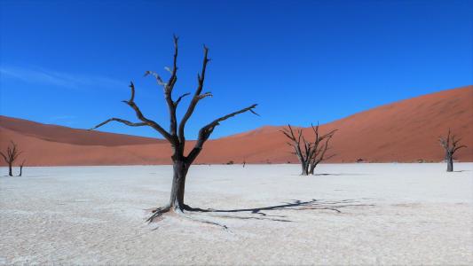 苏斯, 纳米比亚, 对比颜色, 煲, 沙漠, 干旱