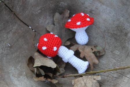 蘑菇, 飞金顶, 针织, 红色与白色的小圆点, 秋天, 细钩, 挂钩