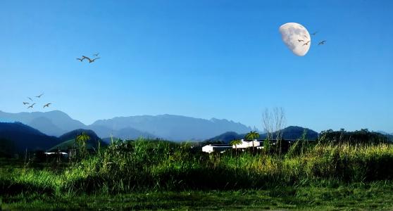 月亮, 山脉, 塞拉, 鸟类, 自然, 蓝蓝的天空, 景观